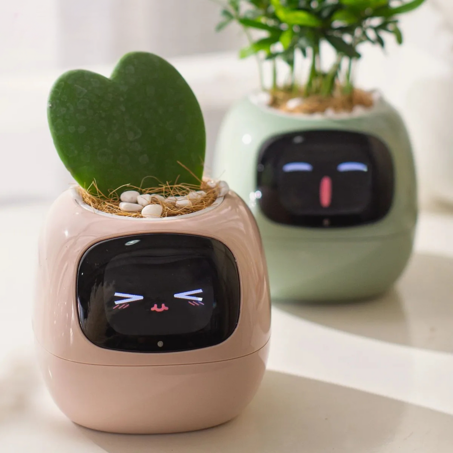 Planter Pals