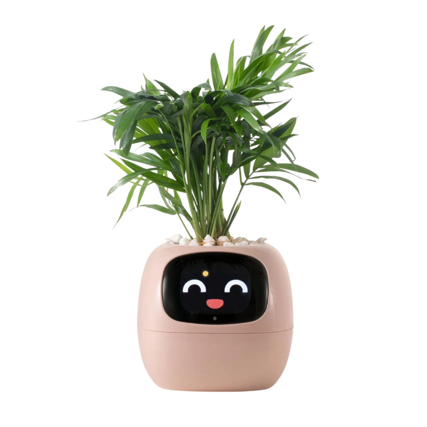 Planter Pals