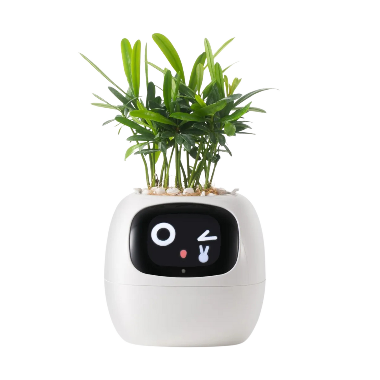 Planter Pals