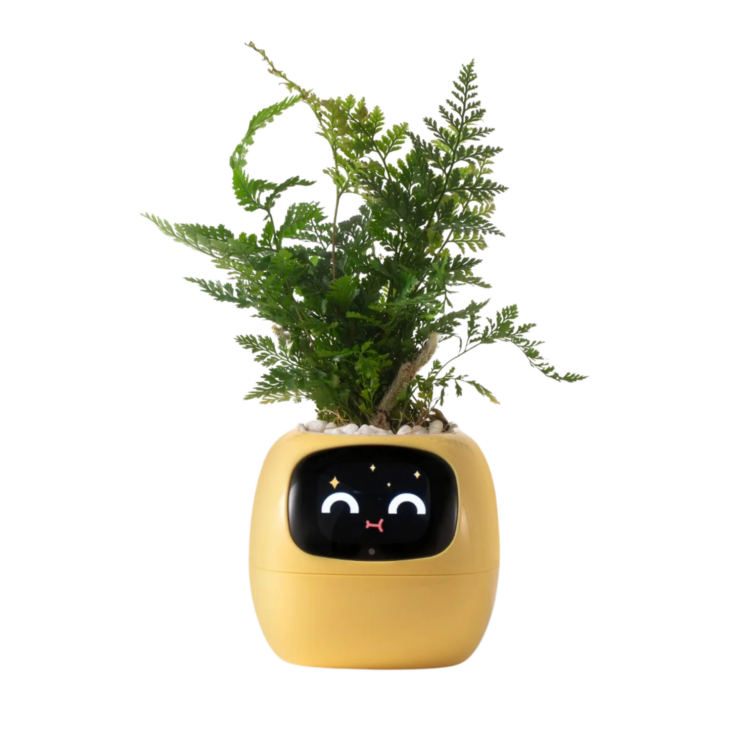 Planter Pals