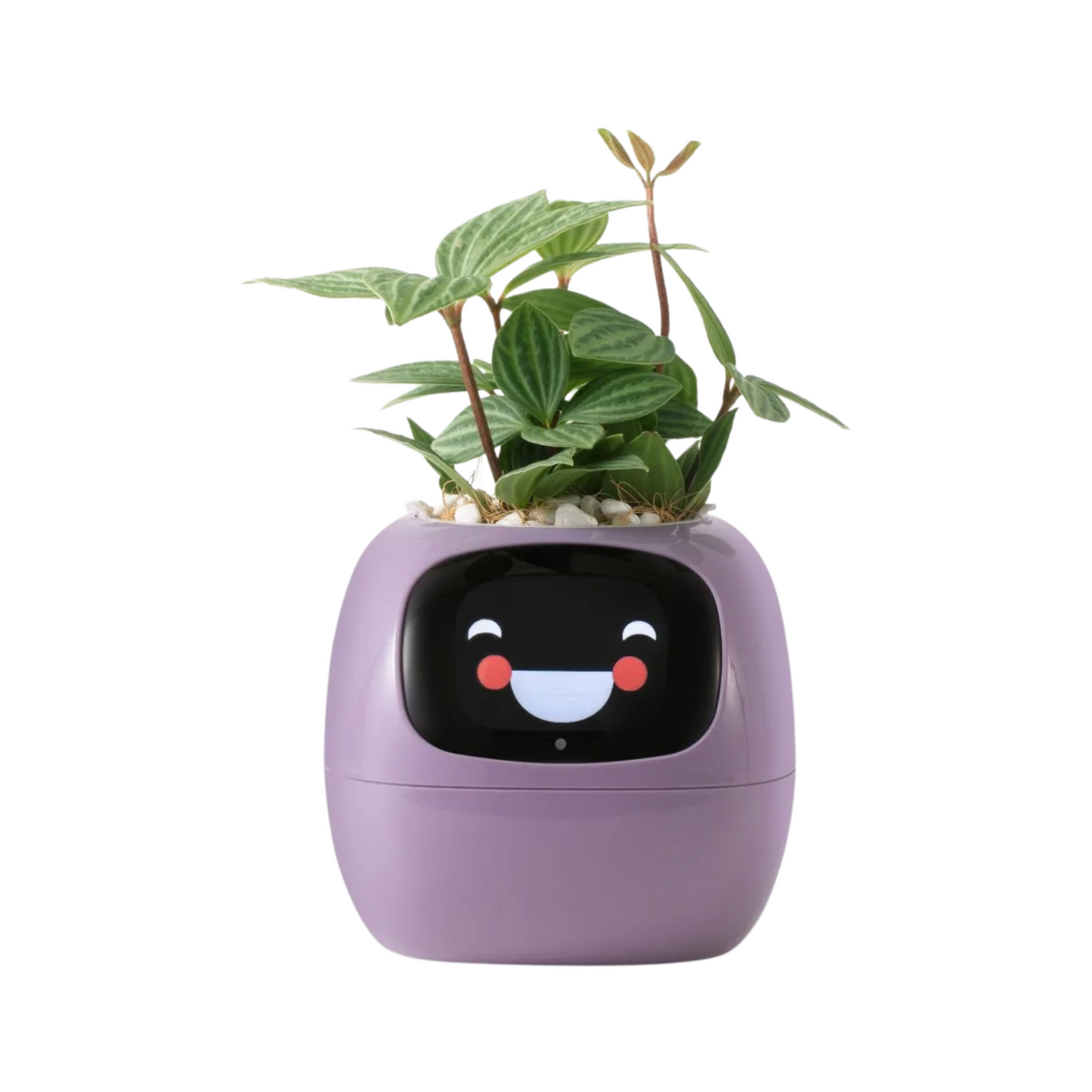 Planter Pals