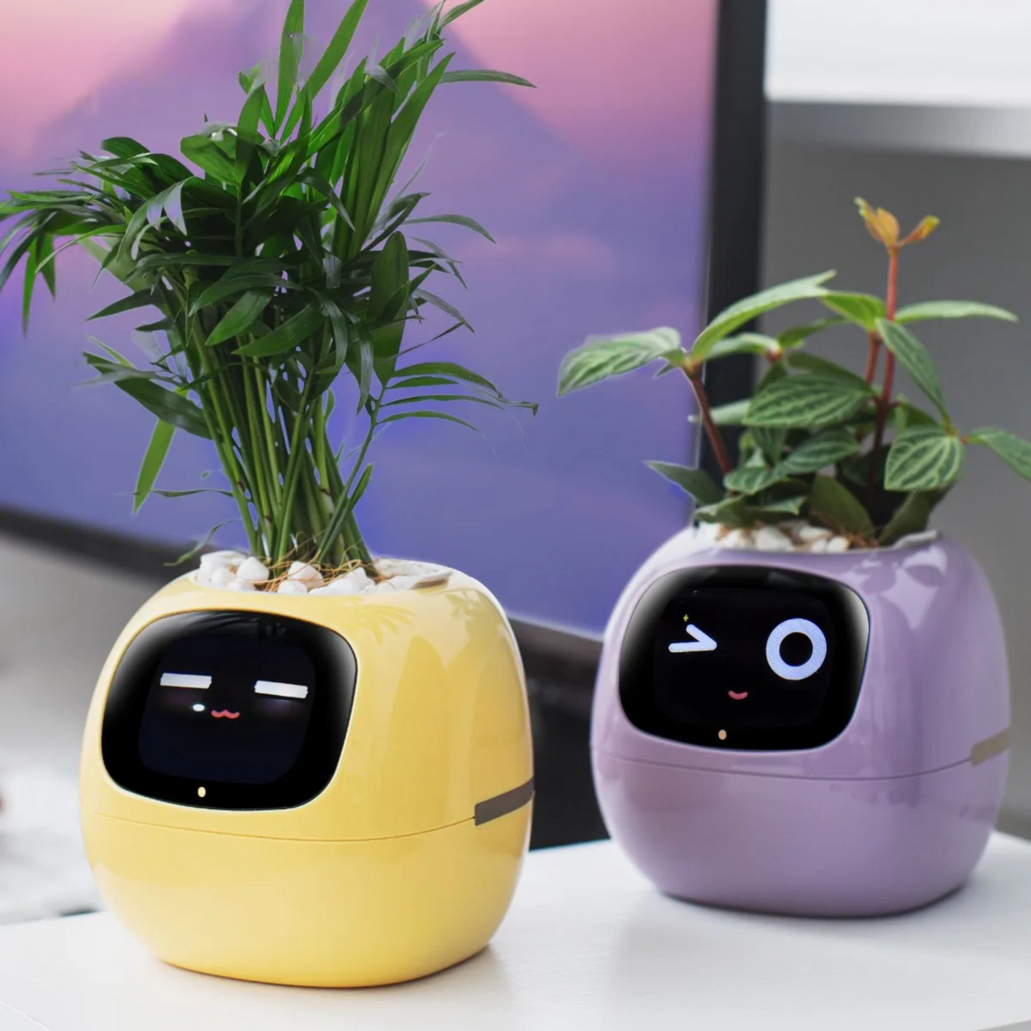 Planter Pals
